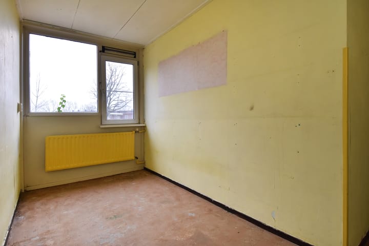 Foto 21 van Tulpenpad 4