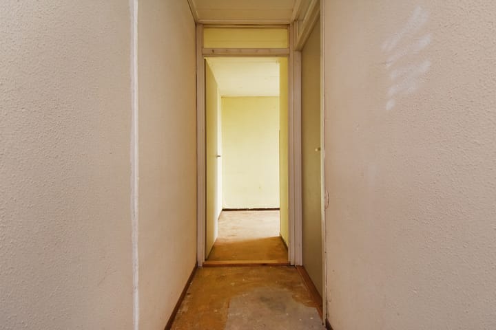 Foto 24 van Tulpenpad 4