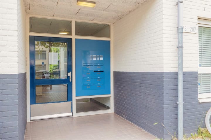 Foto 27 van Daniël Defoelaan 279