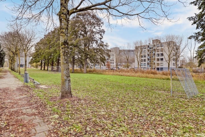 Foto 36 van Daniël Defoelaan 279