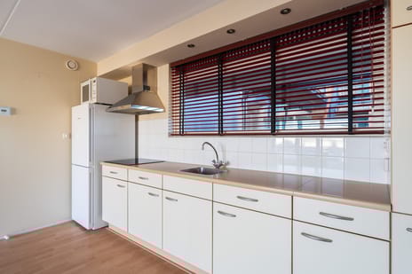 Zeereep 171 tertiary image