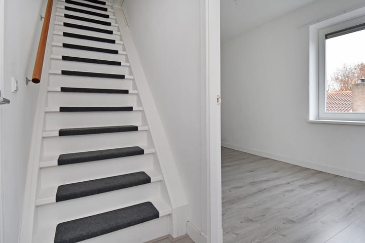 Foto 5 van Algengroen 8-D