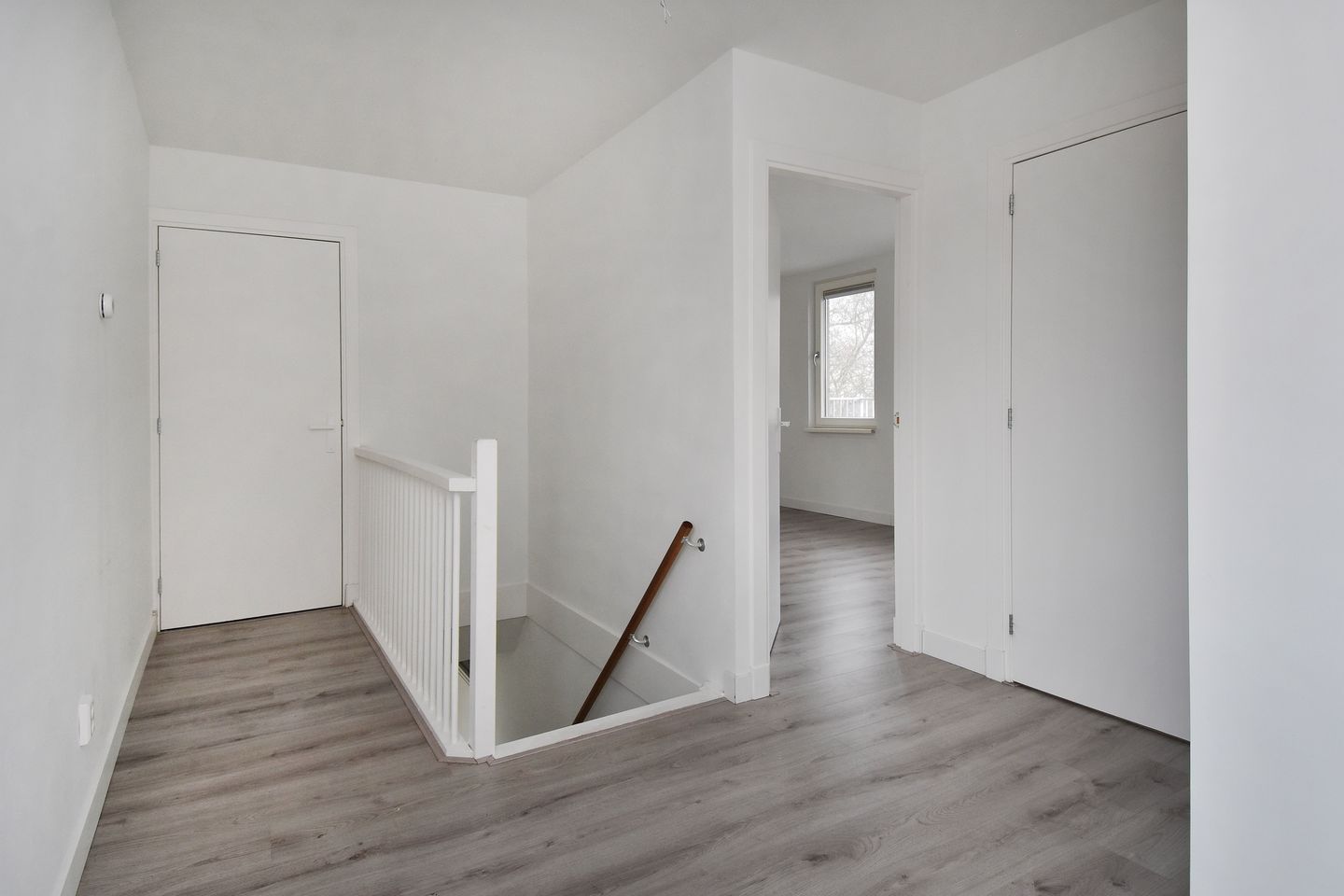 Foto 10 van Algengroen 8-D