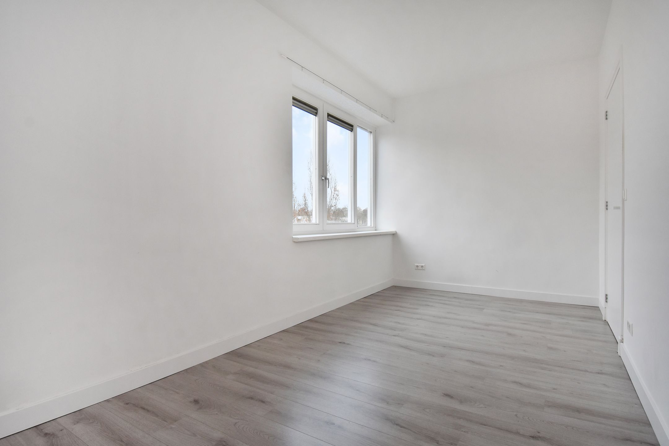 Foto 9 van Algengroen 8-D