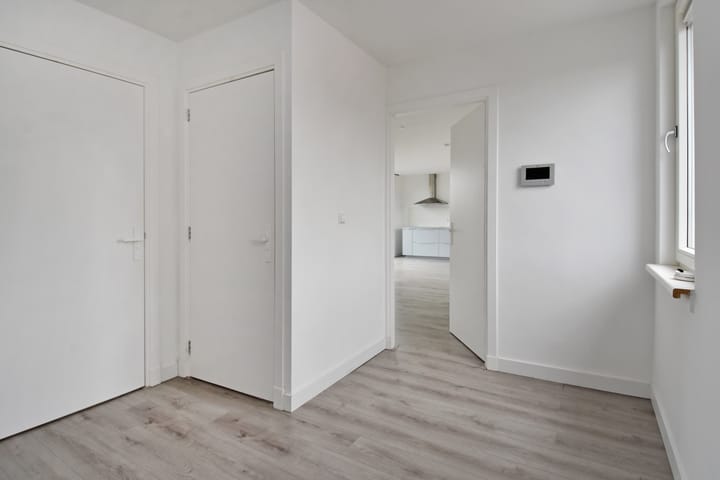 Foto 19 van Algengroen 8-D