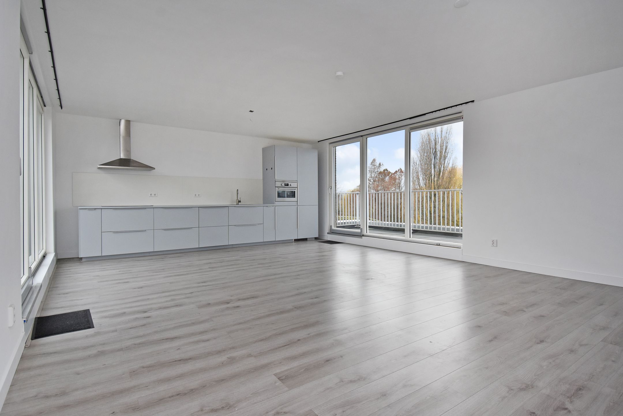 Foto 21 van Algengroen 8-D