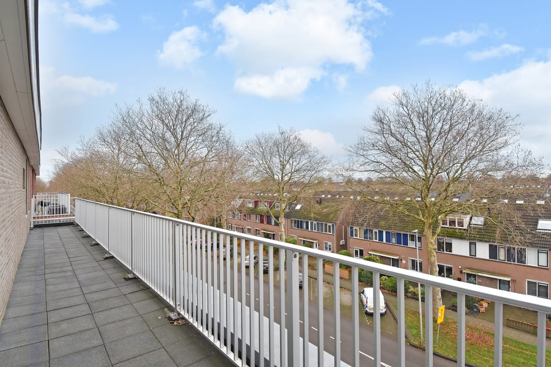 Foto 28 van Algengroen 8-D