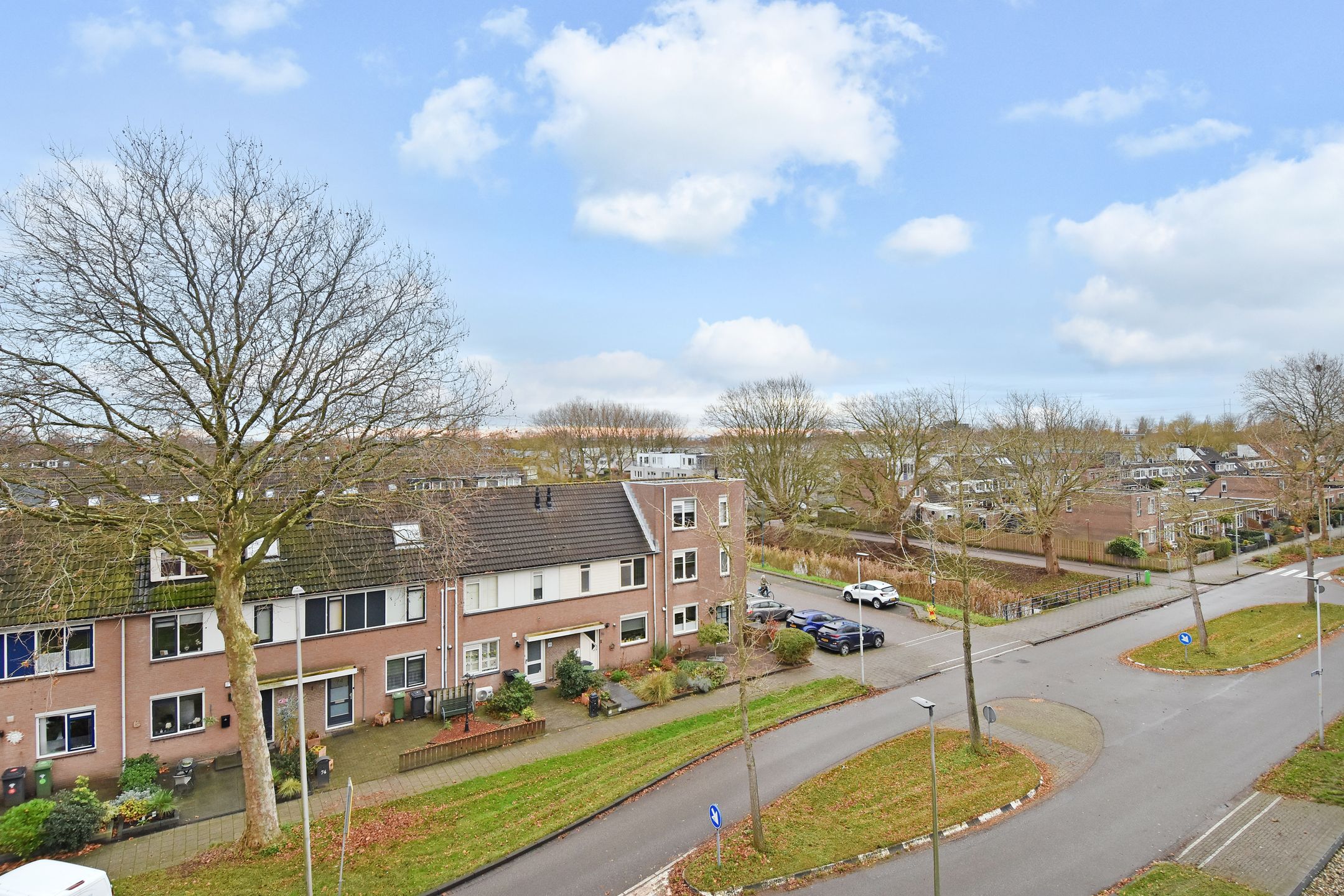 Foto 30 van Algengroen 8-D