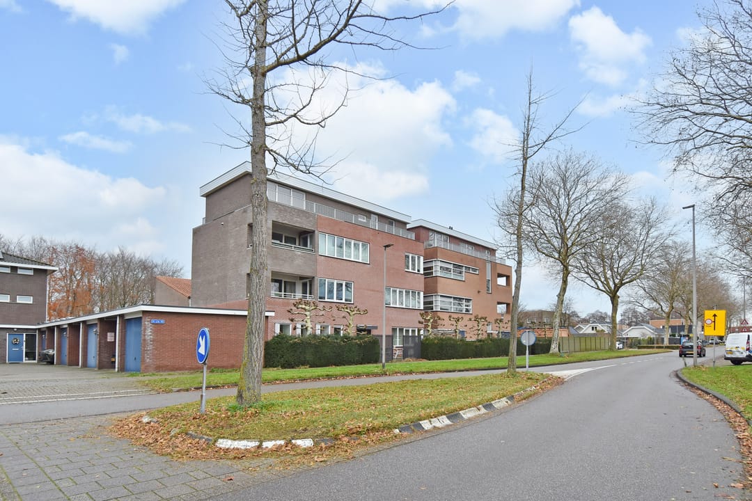 Foto 31 van Algengroen 8-D