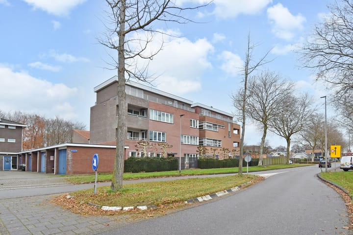 Foto 31 van Algengroen 8-D