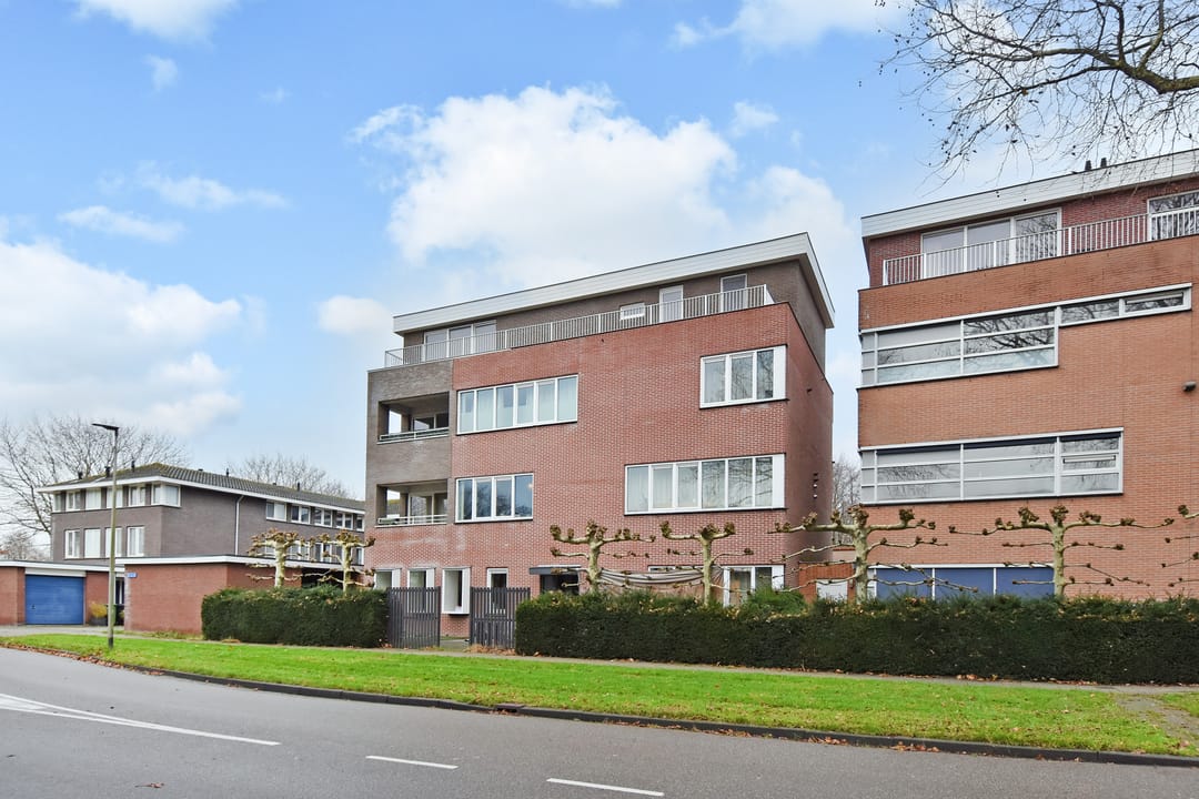 Foto 32 van Algengroen 8-D