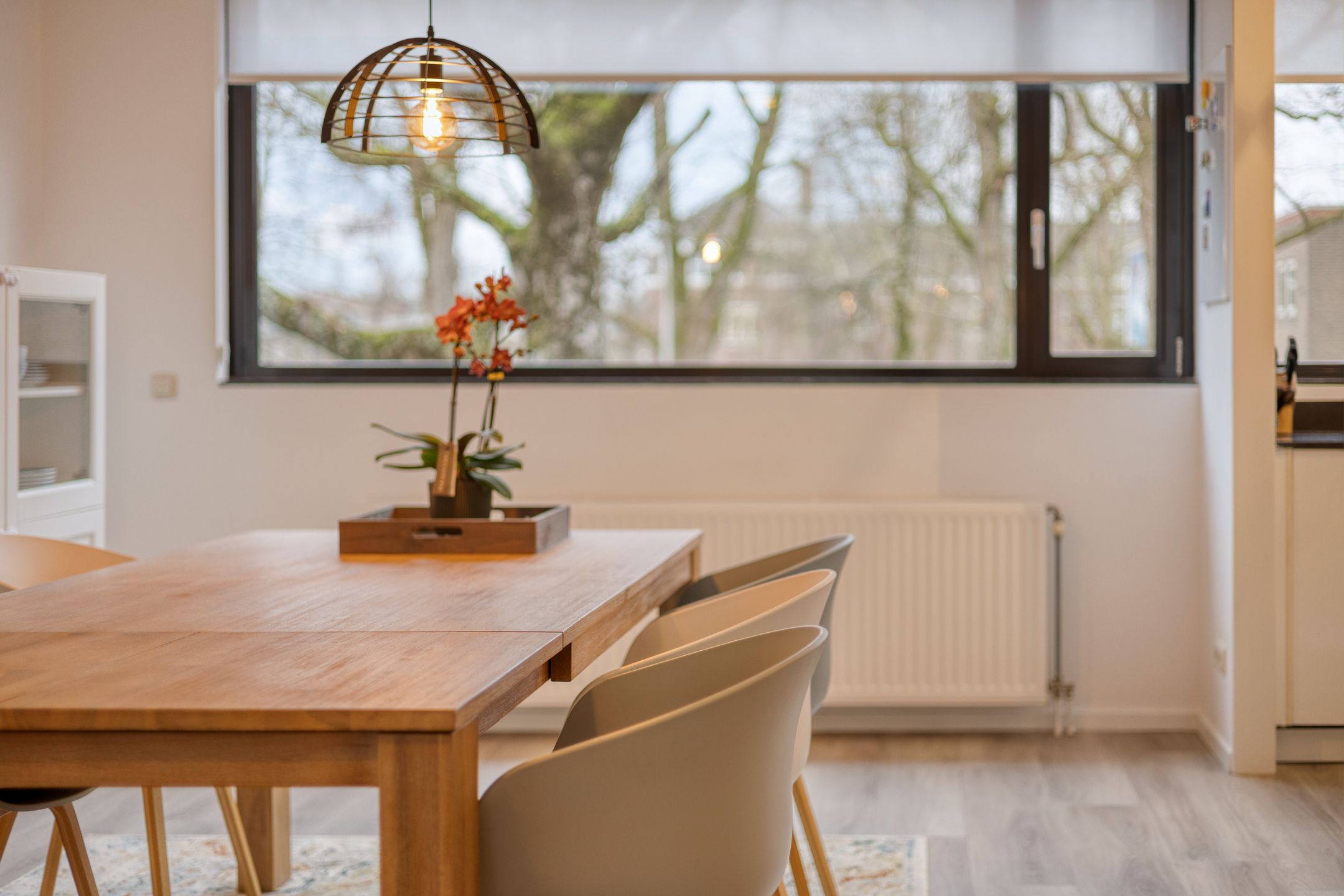 Foto 18 van Johannes Buijslaan 28