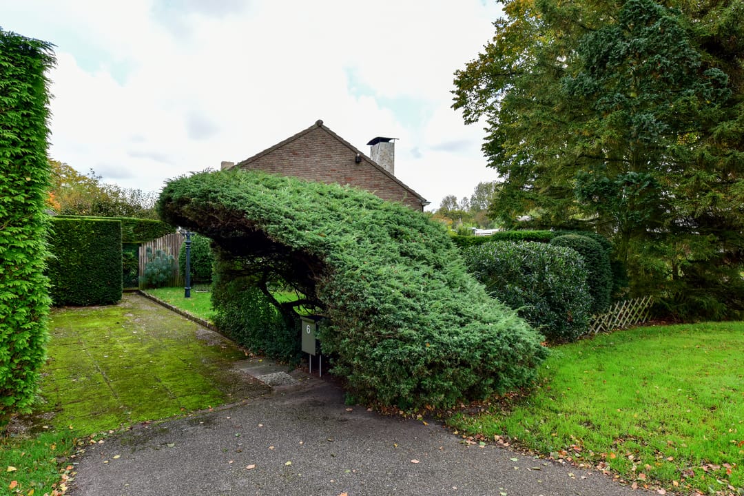 Foto 38 van Irenelaan 6