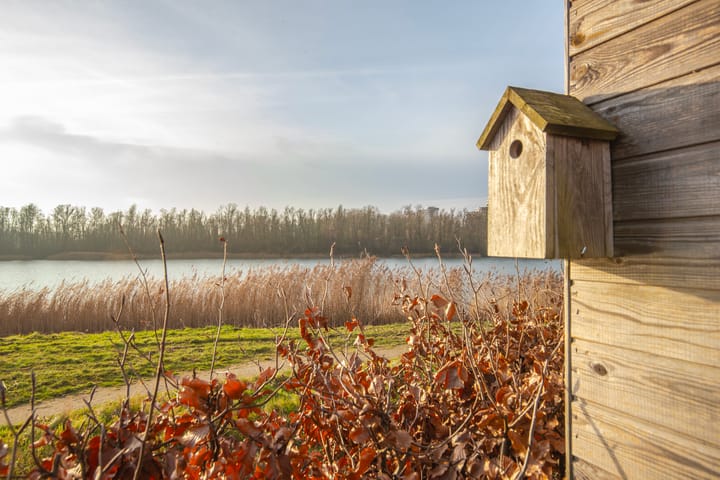 Foto 25 van Eimersland 44