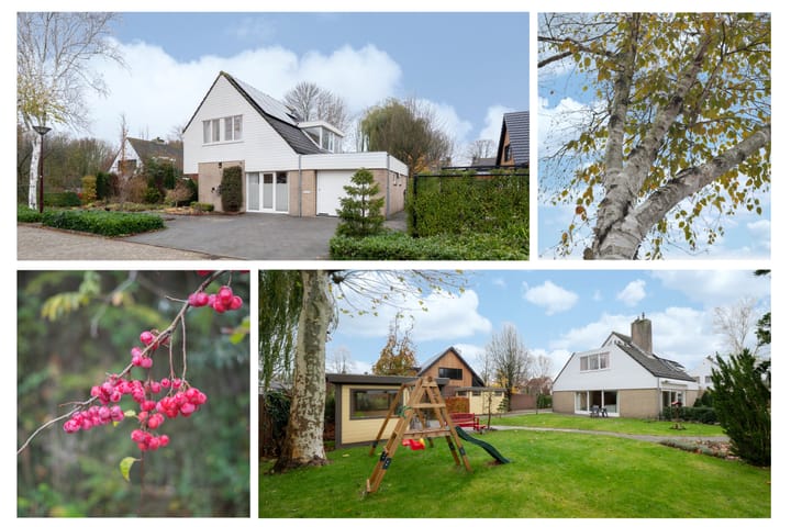 Photo 2 of Boterpotten 4