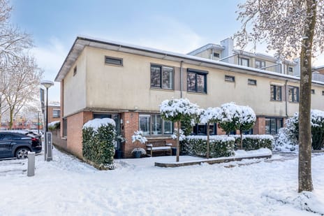 Kransvederkruid thumbnail