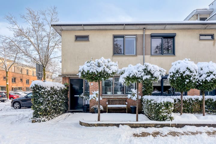 Photo 2 of Kransvederkruid 20