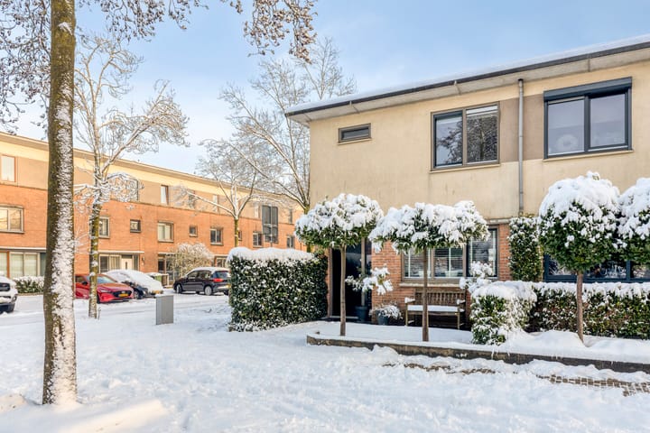 Photo 3 of Kransvederkruid 20