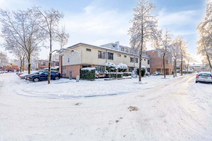 Photo 4 of Kransvederkruid 20