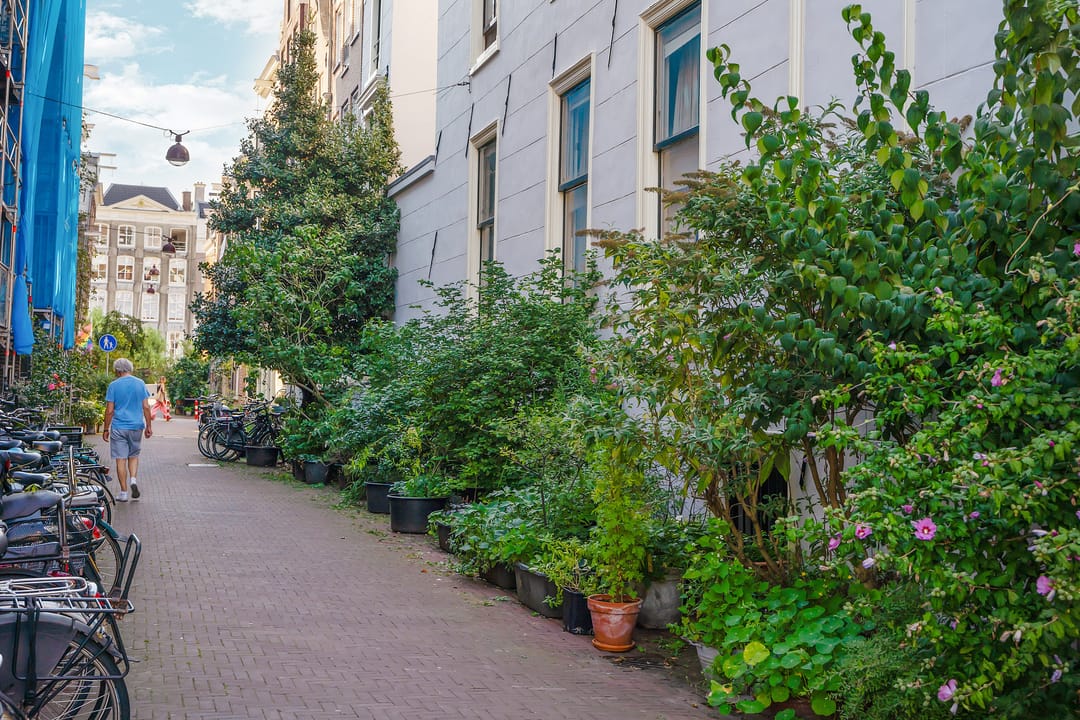 Foto 38 van Singel 42-D