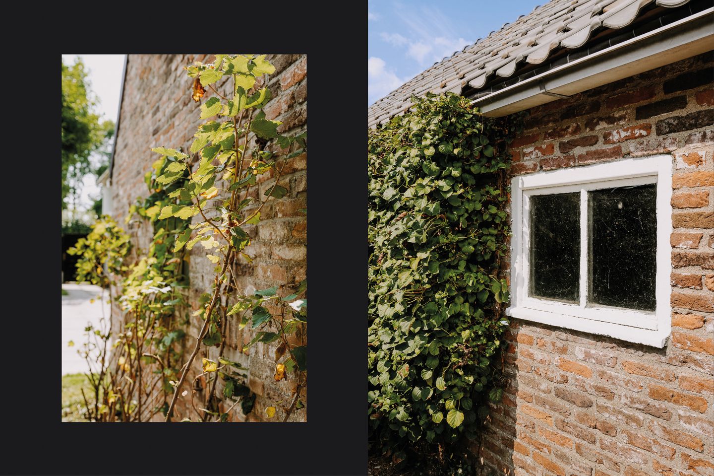 Foto 25 van Burgemeester van Suchtelenstraat 17