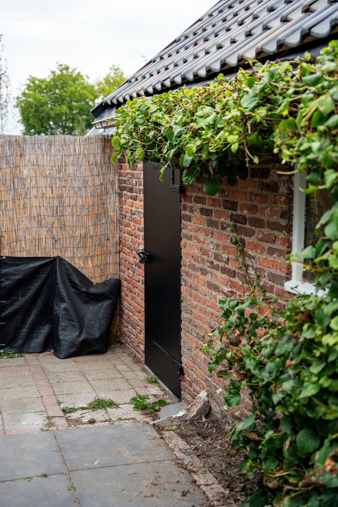 Foto 26 van Burgemeester van Suchtelenstraat 17