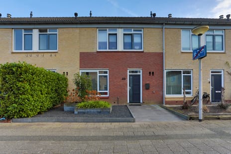 Paulus Potterstraat thumbnail