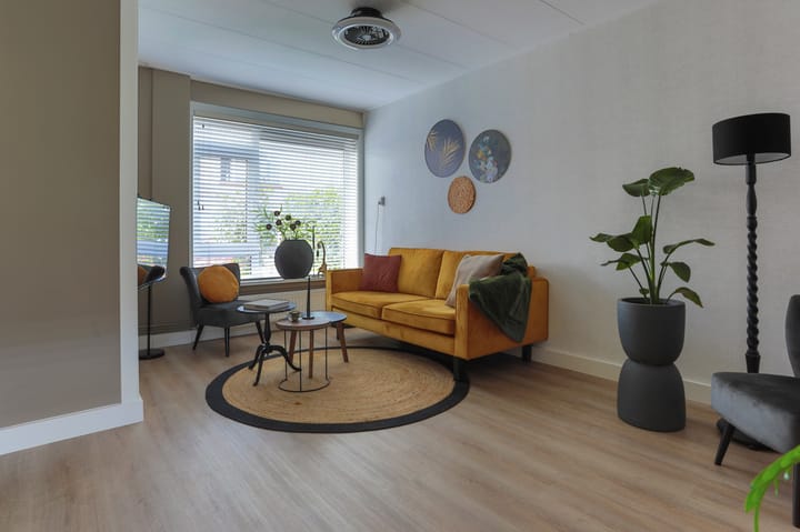 Foto 5 van Paulus Potterstraat 49