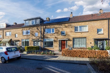 Frans Halsstraat thumbnail