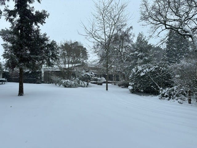 Foto 5 van Postelscheheideweg 2