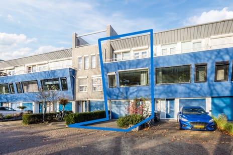 Lavendelveld thumbnail