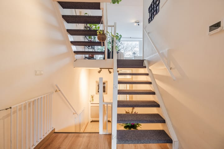 Foto 16 van Lavendelveld 21