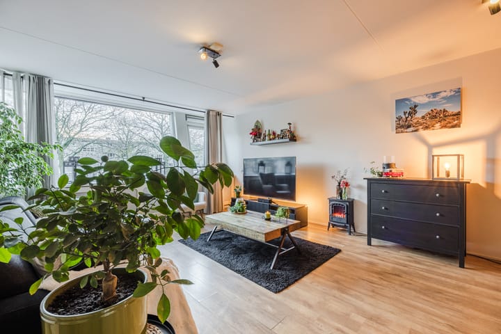 Foto 17 van Lavendelveld 21