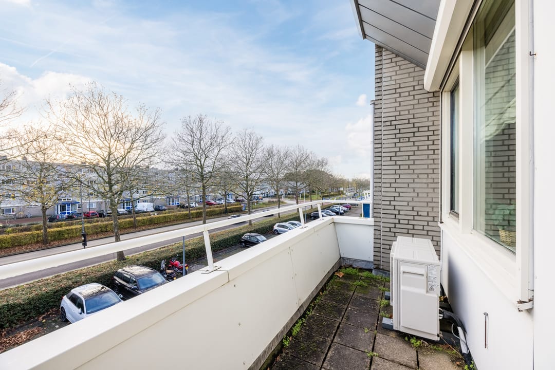 Foto 23 van Lavendelveld 21