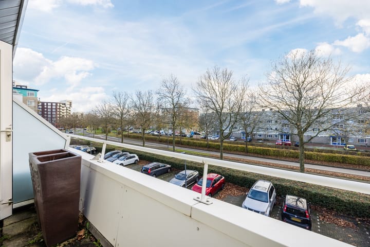 Foto 24 van Lavendelveld 21