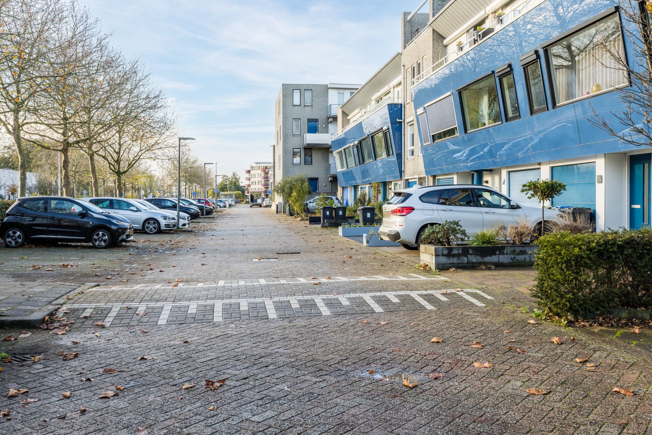 Foto 39 van Lavendelveld 21