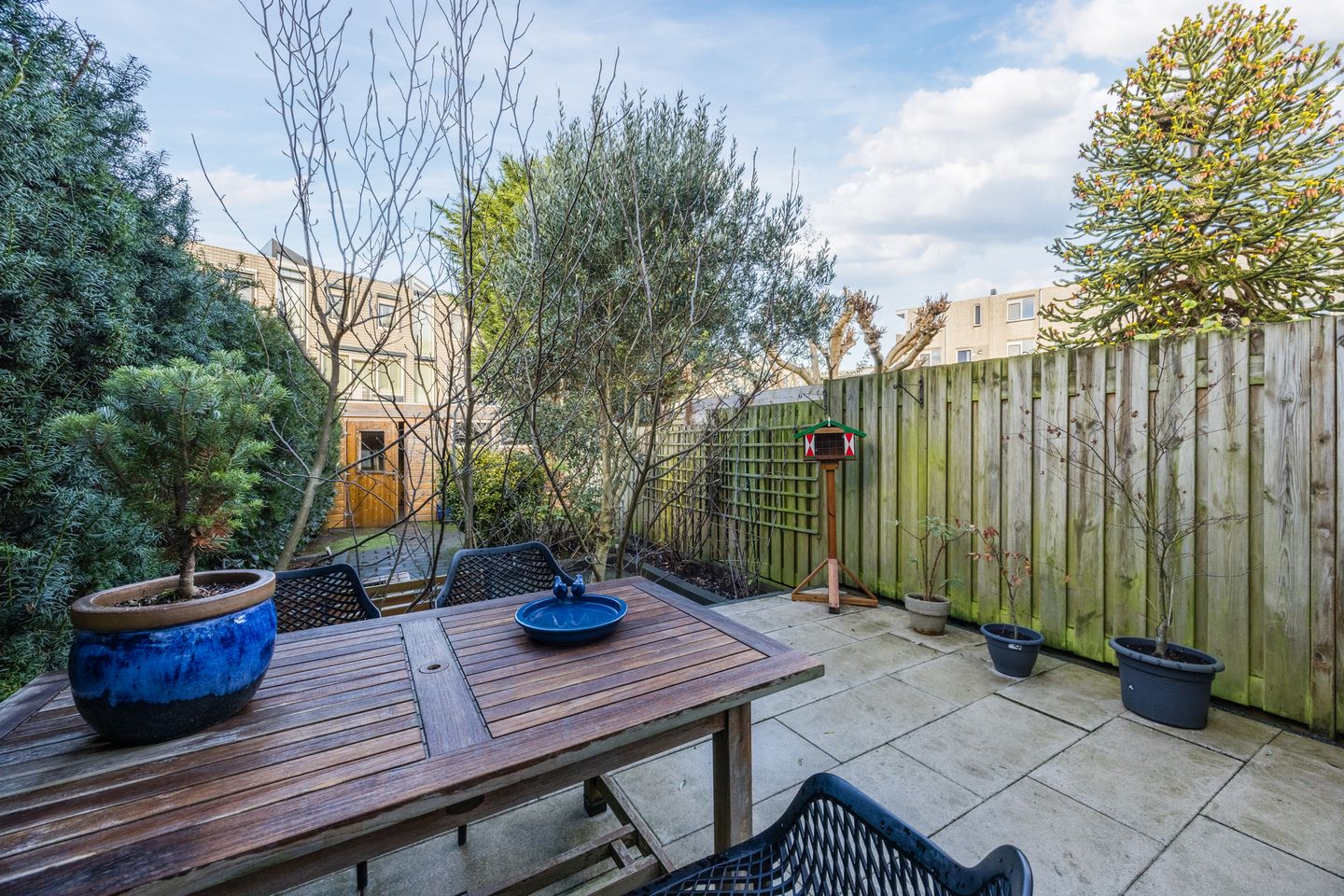 Foto 35 van Lavendelveld 21