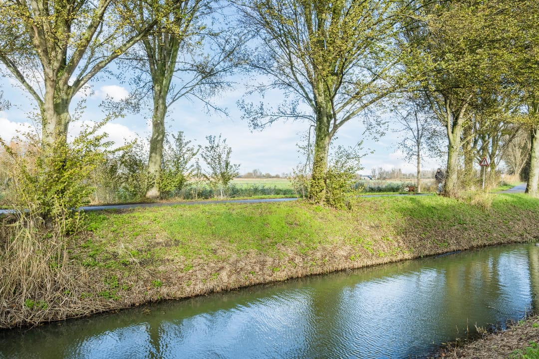 Foto 41 van Lavendelveld 21