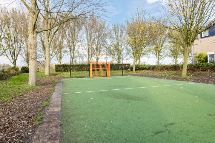 Foto 40 van Lavendelveld 21