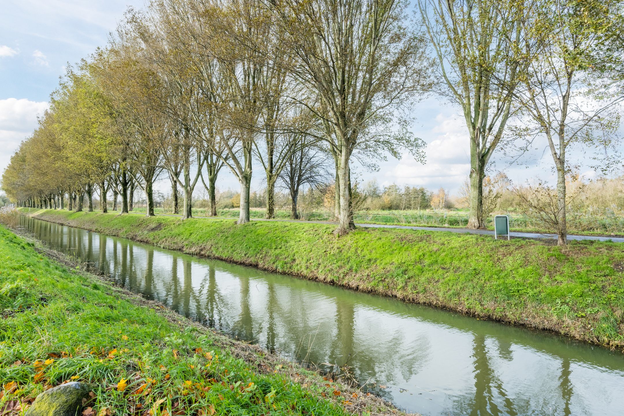 Foto 42 van Lavendelveld 21