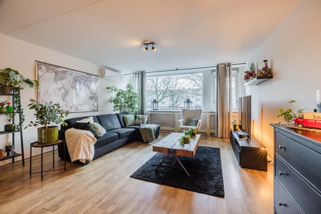 Lavendelveld 21 tertiary image