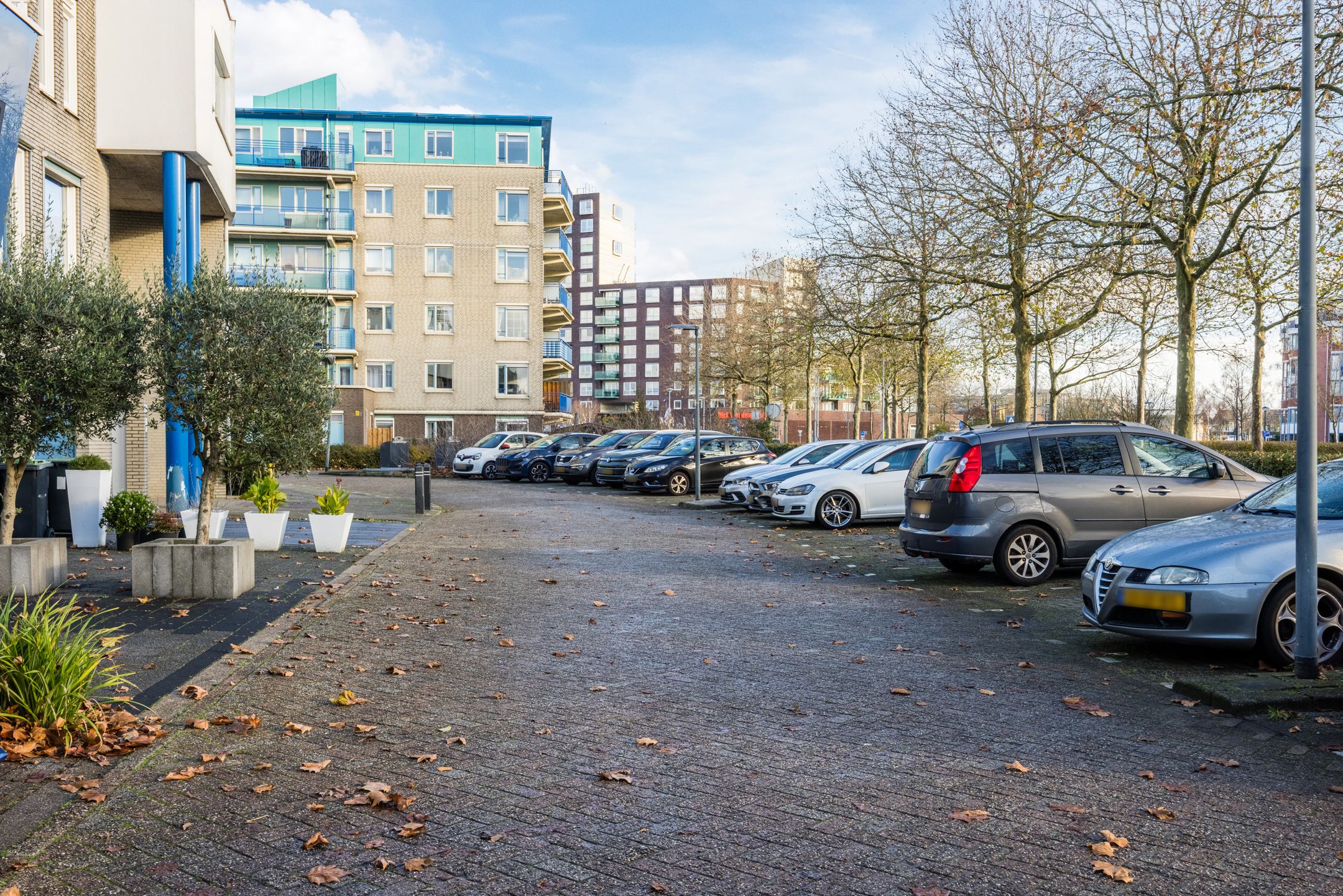 Foto 6 van Lavendelveld 21