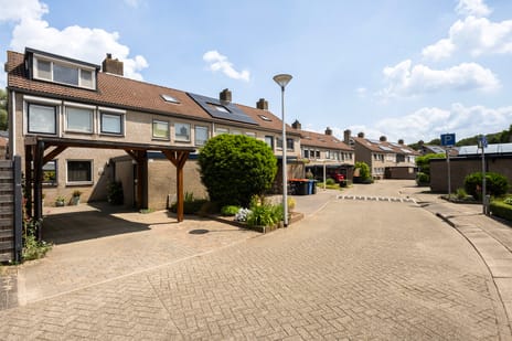 Hanselaarmate thumbnail