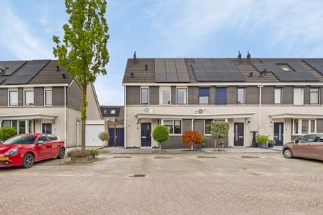 undefined main image