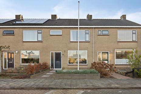 undefined main image