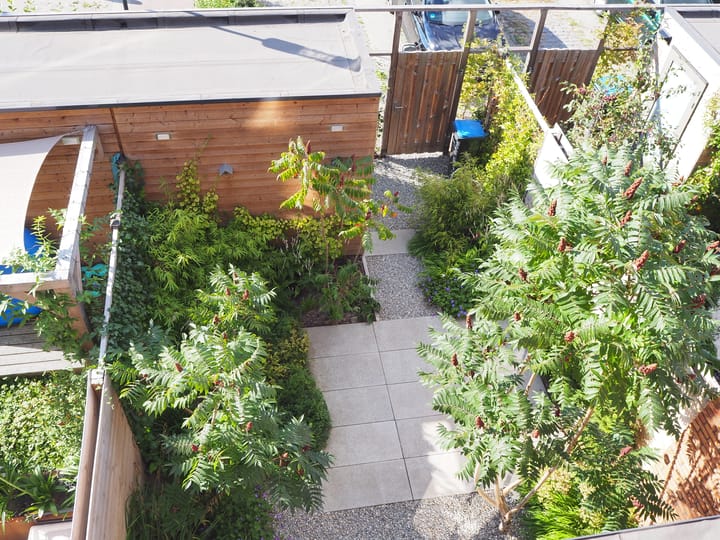 Foto 50 van Zaligestraat 30