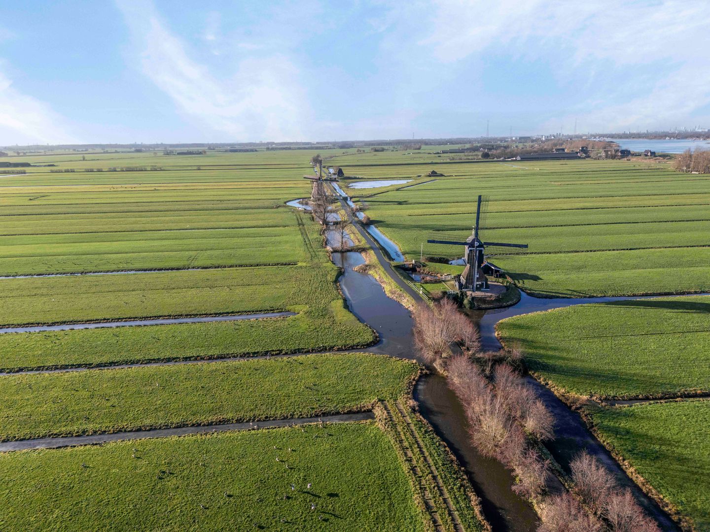 Foto 50 van De Bongerd 45