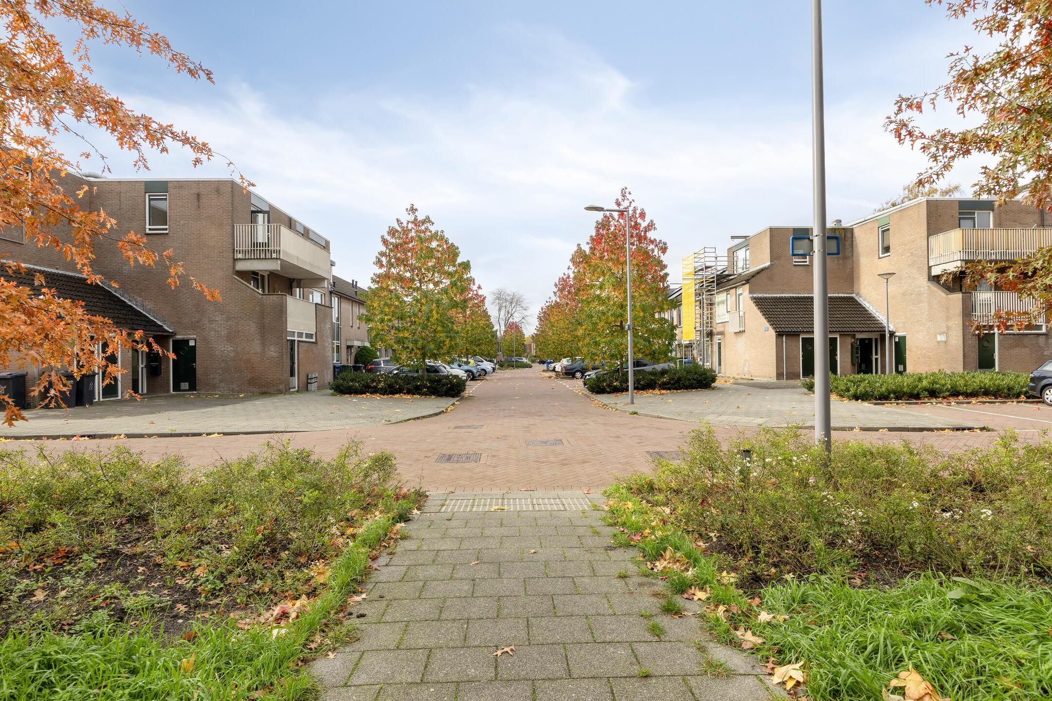 Foto 15 van Donge 12