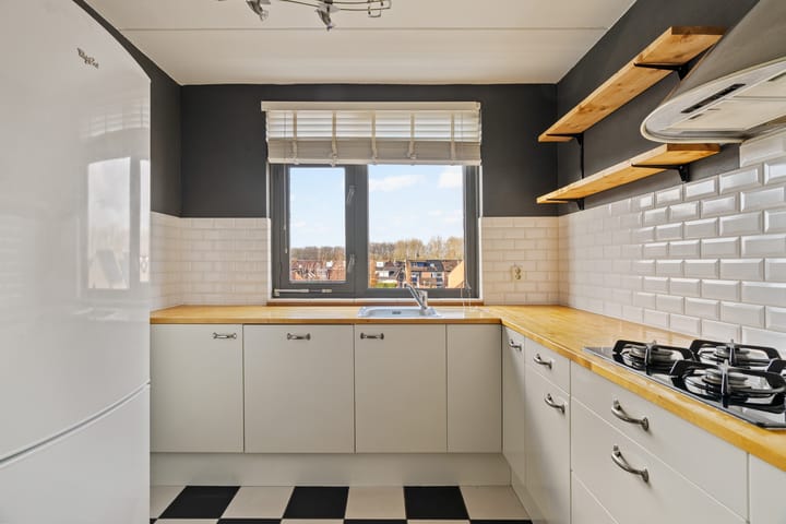 Foto 2 van Penningkruid 28