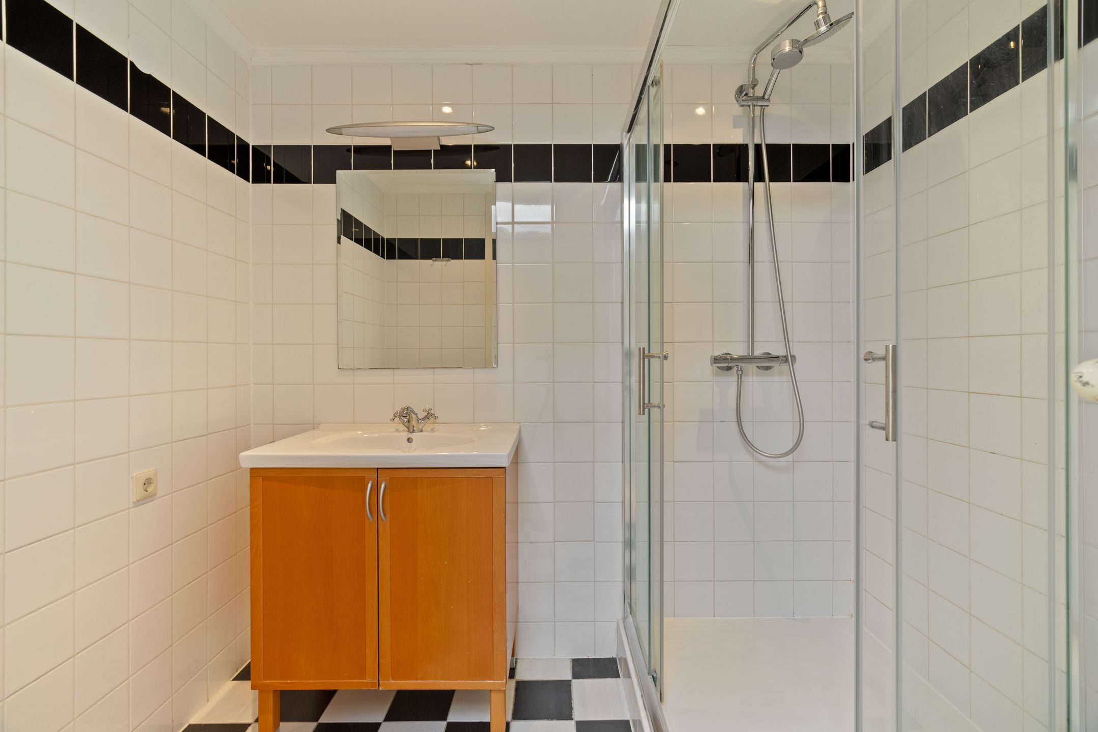 Foto 3 van Penningkruid 28